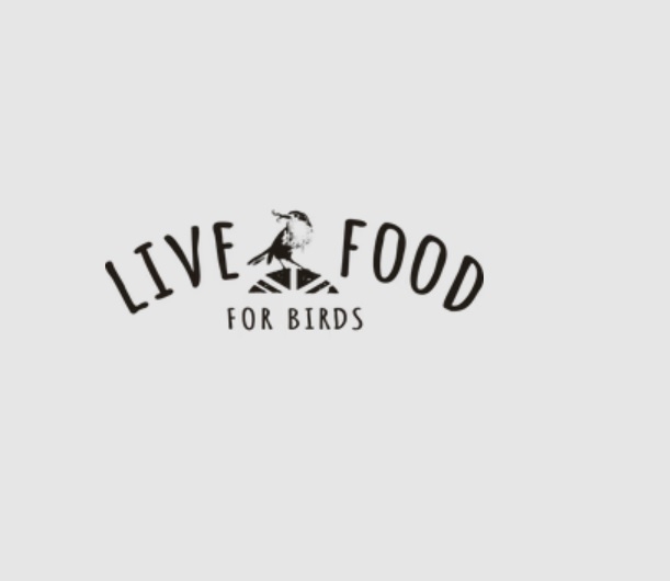 Live Food For Birds