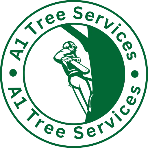 Hull Tree Surgeon