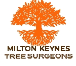 Milton Keynes Tree Surgeon
